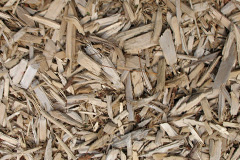 biomass boilers Reedy