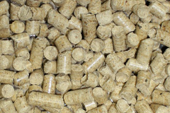 Reedy biomass boiler costs
