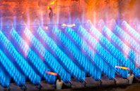 Reedy gas fired boilers
